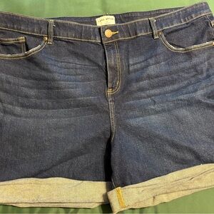 Lane Bryant Women's Denim Shorts - Dark Blue